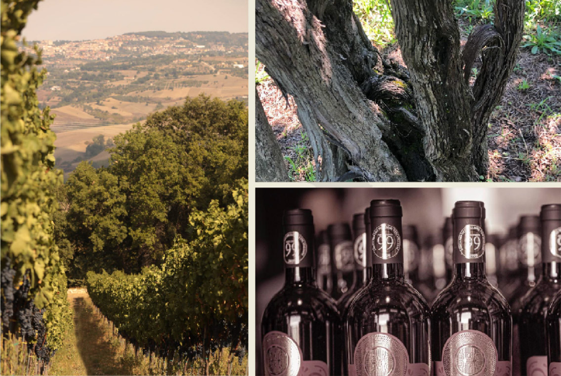 品牌故事 品牌故事